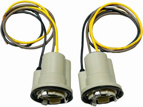 Generic close-up of socket-to-bulb interface highlighting secure contact and brand durability