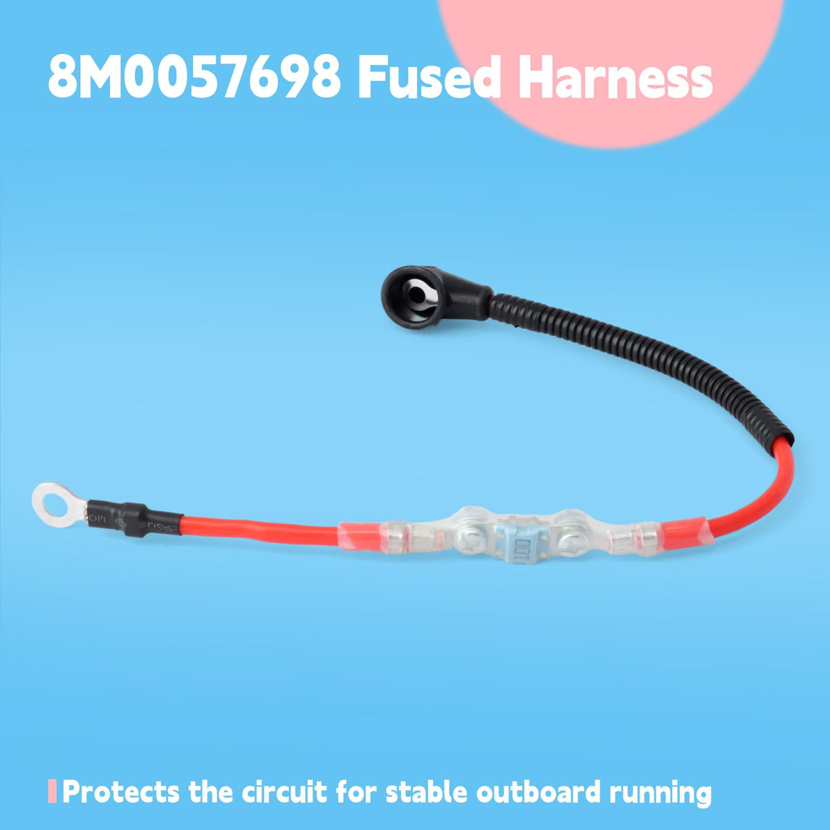 GLOXTED harness fused block detail showing fuse locations, protects circuits reliably
