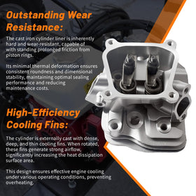 GOIRTUTSS head with gaskets and spark plug packaged for full replacement readiness
