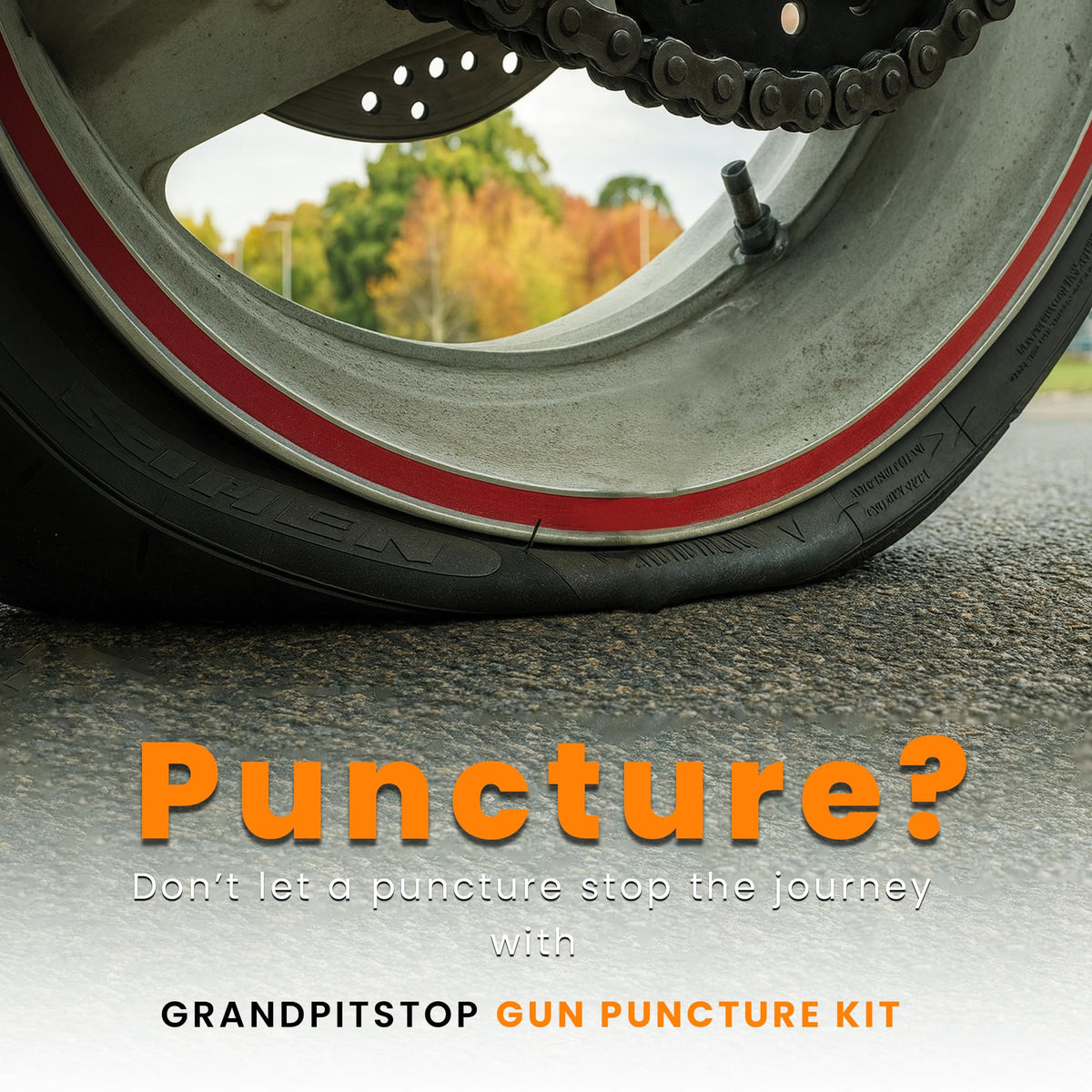 GRAND PITSTOP close-up of mushroom plugs highlighting secure sealing reliability