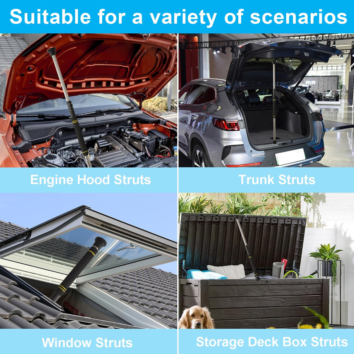 Greeily stored in car trunk demonstrating easy transport and toolbox readiness