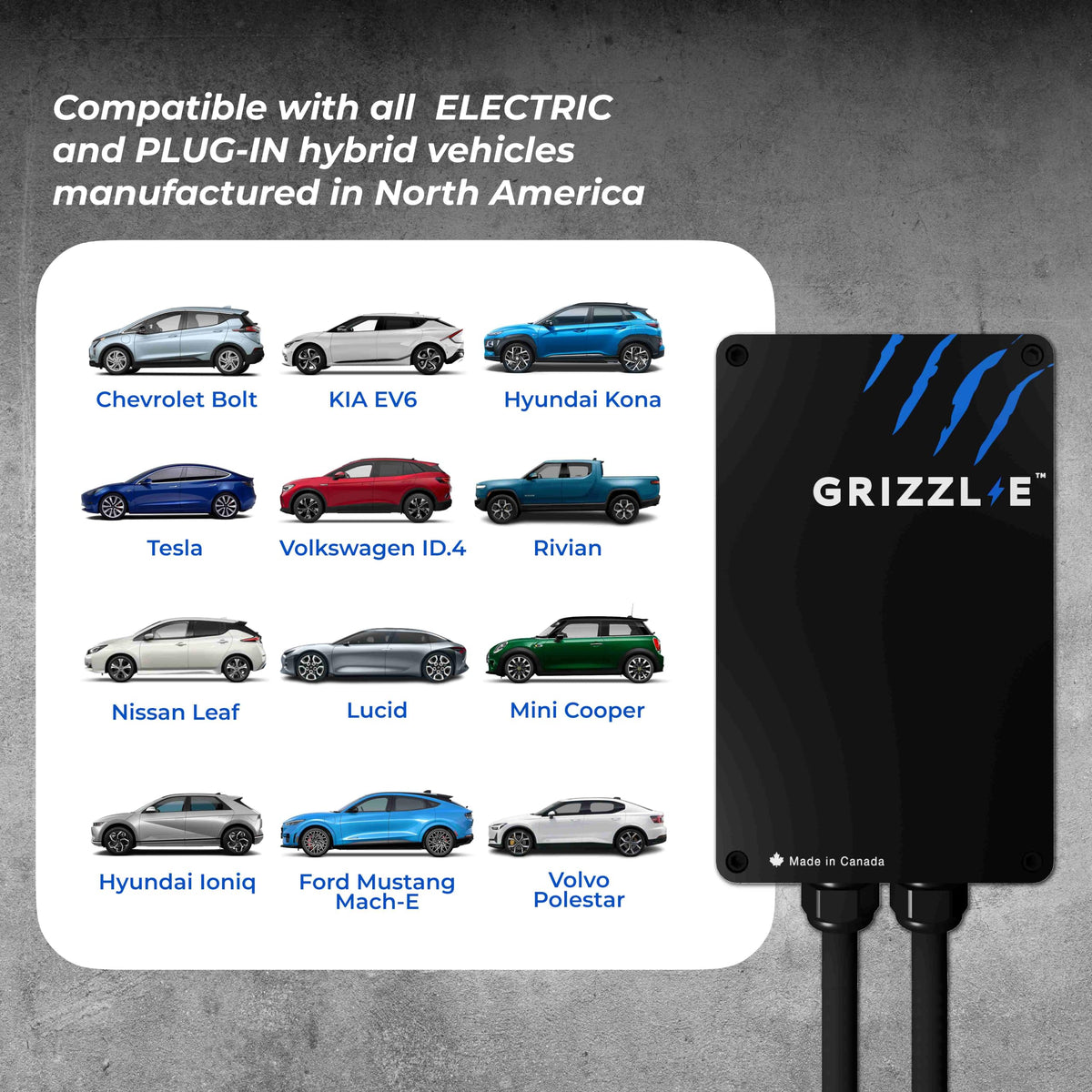 Grizzl-E Classic mounted outdoors demonstrating weather-resistant use