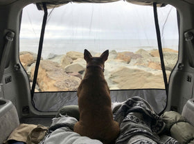 HASIKA tent next to person showing size and square-foot coverage