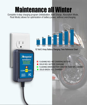 Heagstat LED status indicators closeup, clear battery state feedback advantage