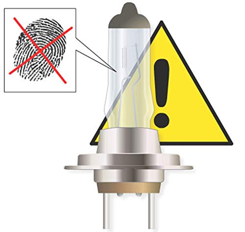 HELLA 9006 YL installed in vehicle driving on rural night road improving visibility