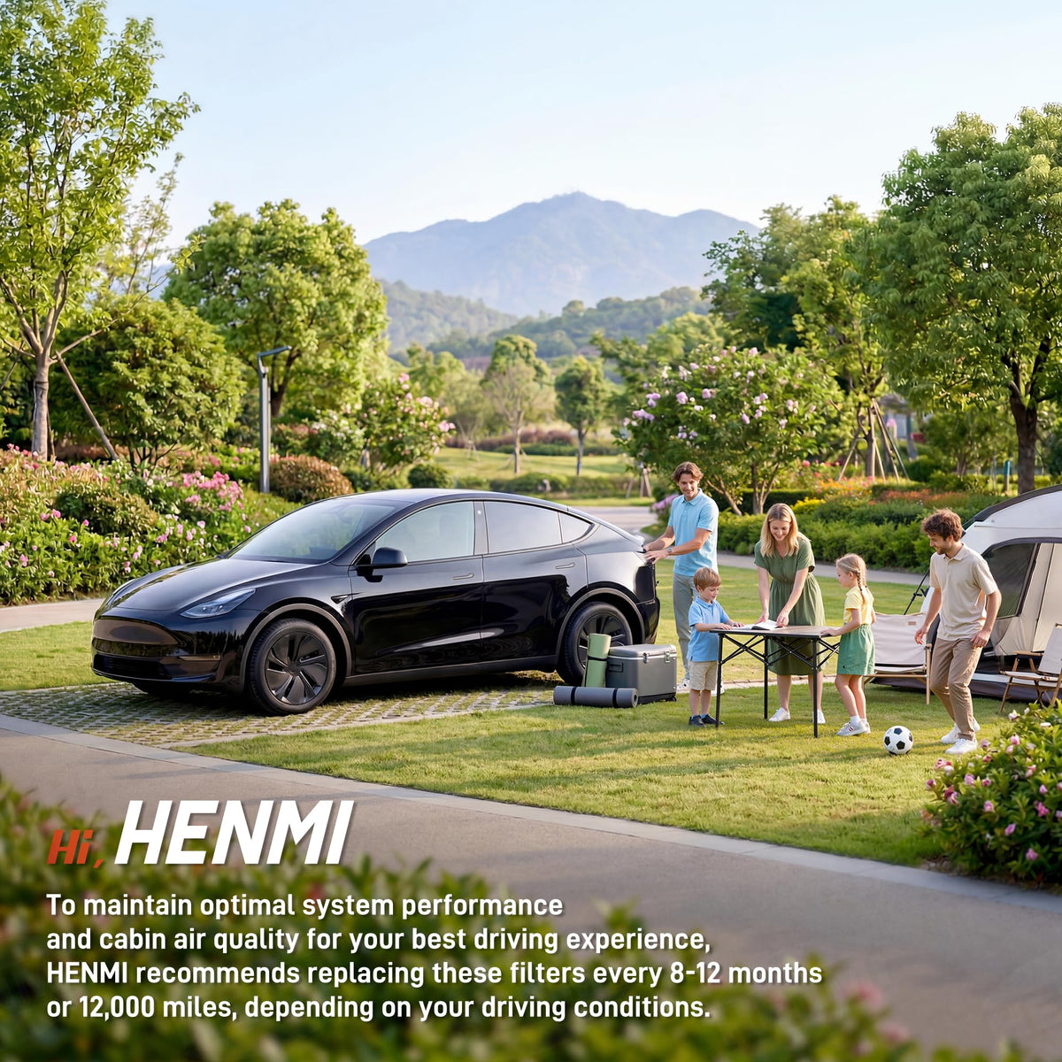 HENMI filter with Tesla interior on roadside, conveys fresher cabin air while driving
