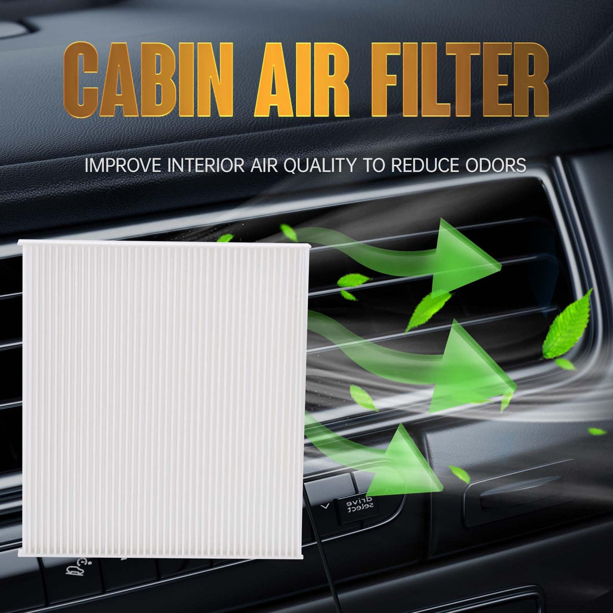 Hoiedt filter set beside ruler displaying correct sizes for easy verification