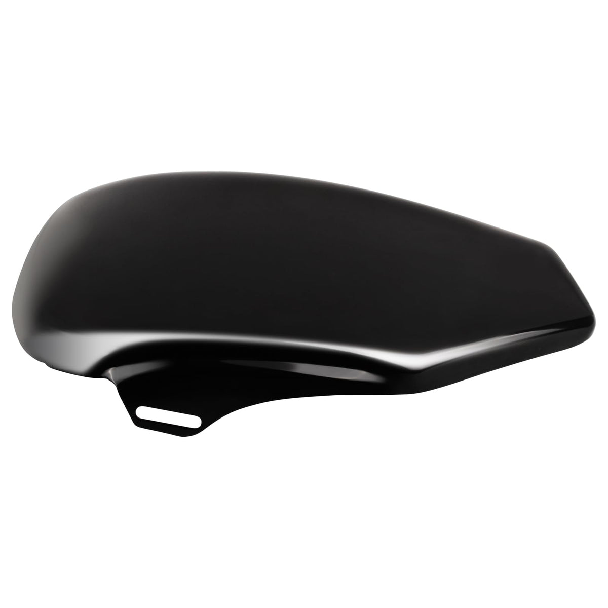 Hokuotolite installed on Sportster showing restored bike appearance