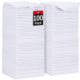 HOMERHYME 100-pack front view showing bulk packaging and value