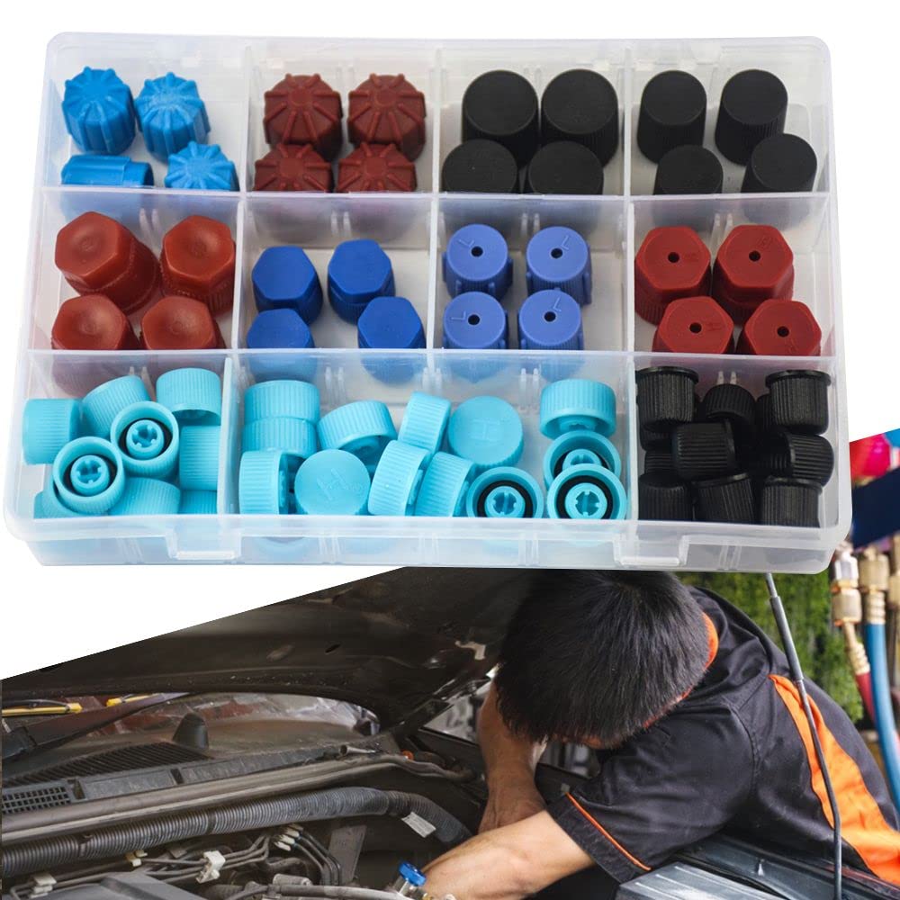 HomeSoGood open organizer box displaying all 77 caps for rapid access