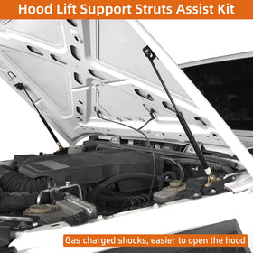 Hooke Road close-up of piston rod highlighting corrosion-resistant finish and smooth lift