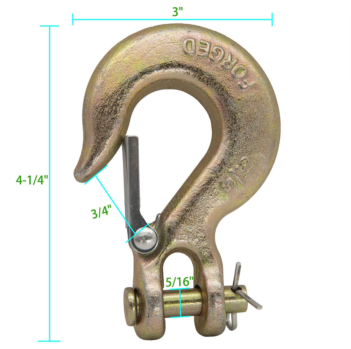 HOOTO detailed view of hook throat and clevis hole illustrating fit with 5/16" chain