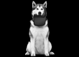 Husky Liners mud guards on truck driving gravel illustrating debris deflection