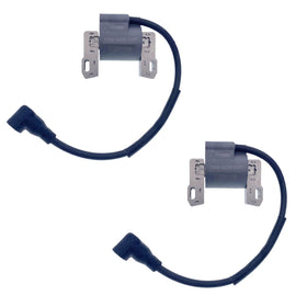 IGCLINIC front view of ignition coil pair showing connectors and mounting for quick replacement