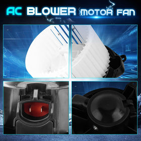 ILONPA next to ruler showing size for correct fitment verification benefit