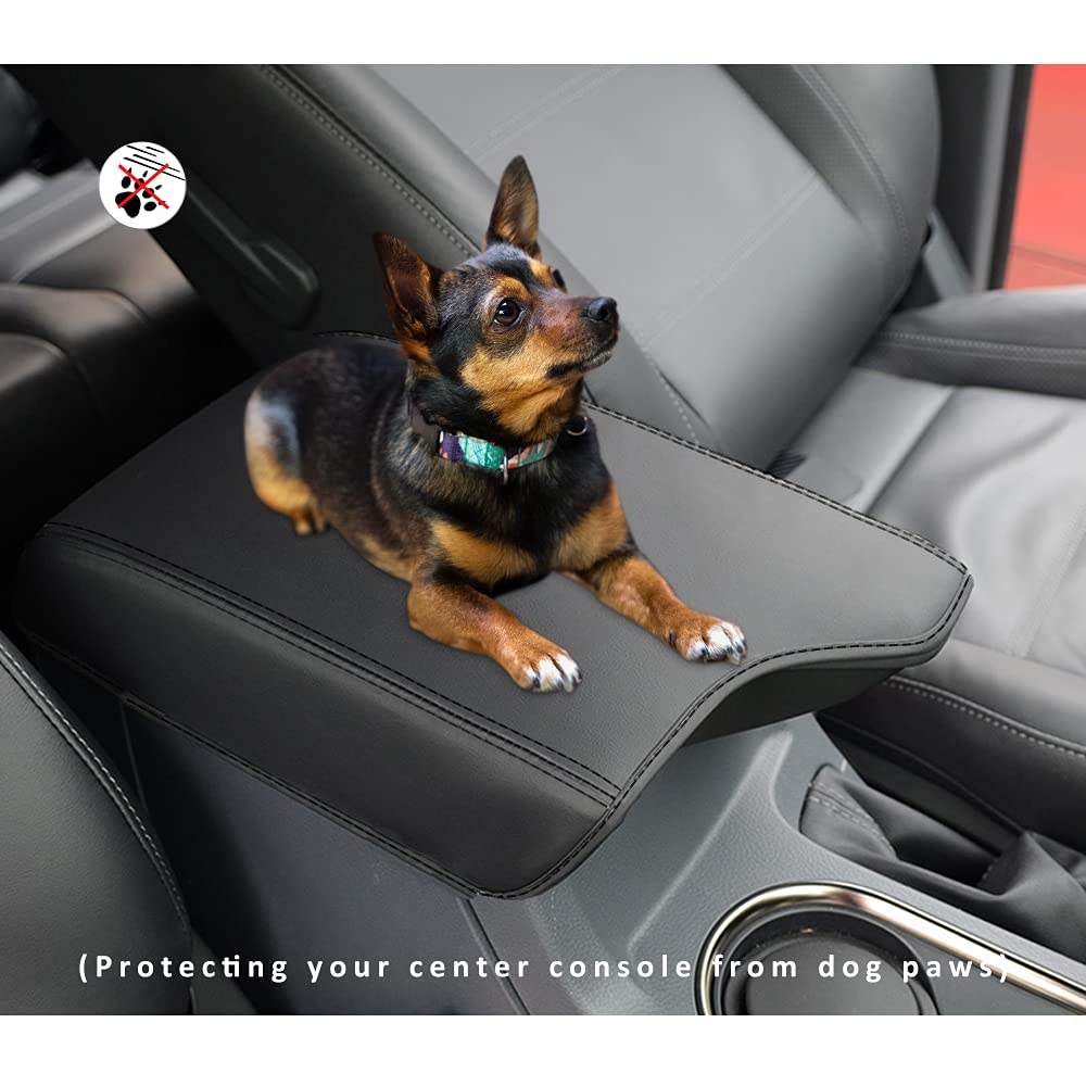 INTGET cover with dog seated showing pet comfort and secure grip