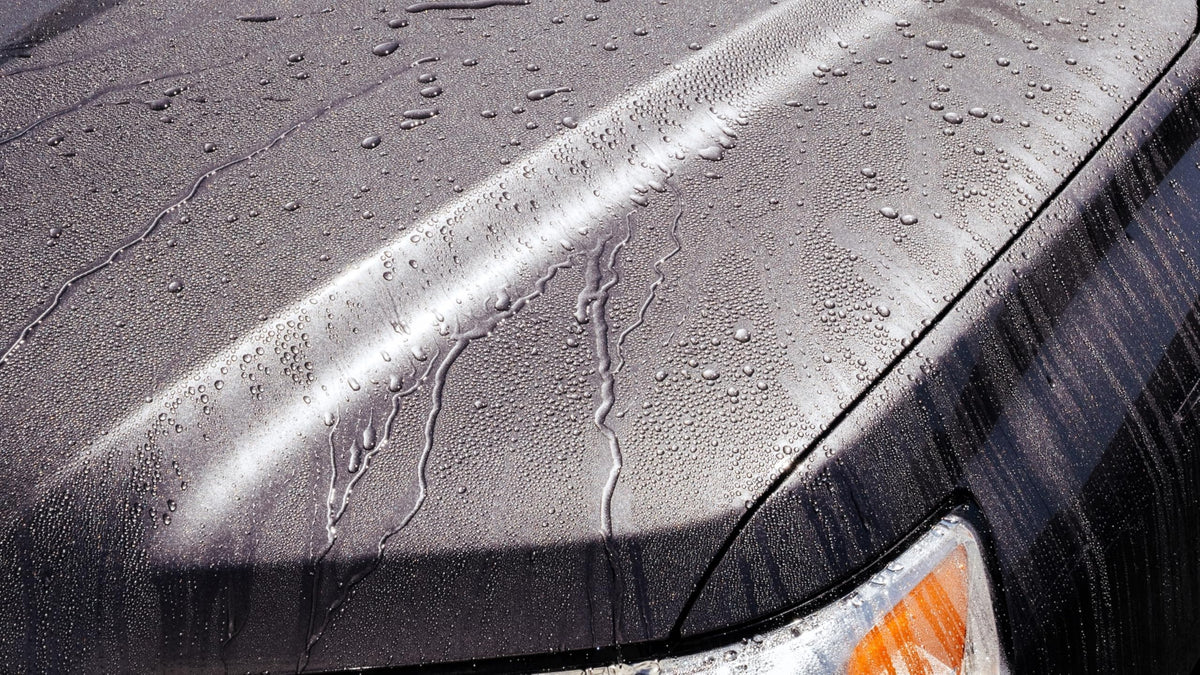 Jimbos protected wheel closeup reducing brake dust build-up benefit