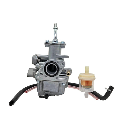Joygowe carburetor front view showing mounting flanges for easy fit verification
