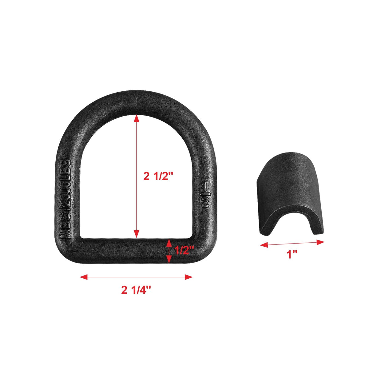 JOYOKYOPK size comparison with ruler showing 1/2-inch diameter stem clarity