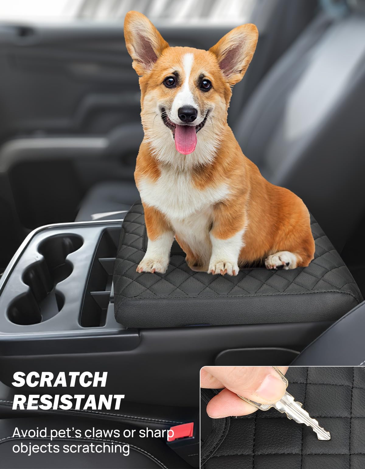 JOYTUTUS lifestyle image with pet and driver showing scratch protection