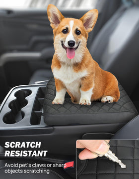 JOYTUTUS lifestyle image with pet and driver showing scratch protection