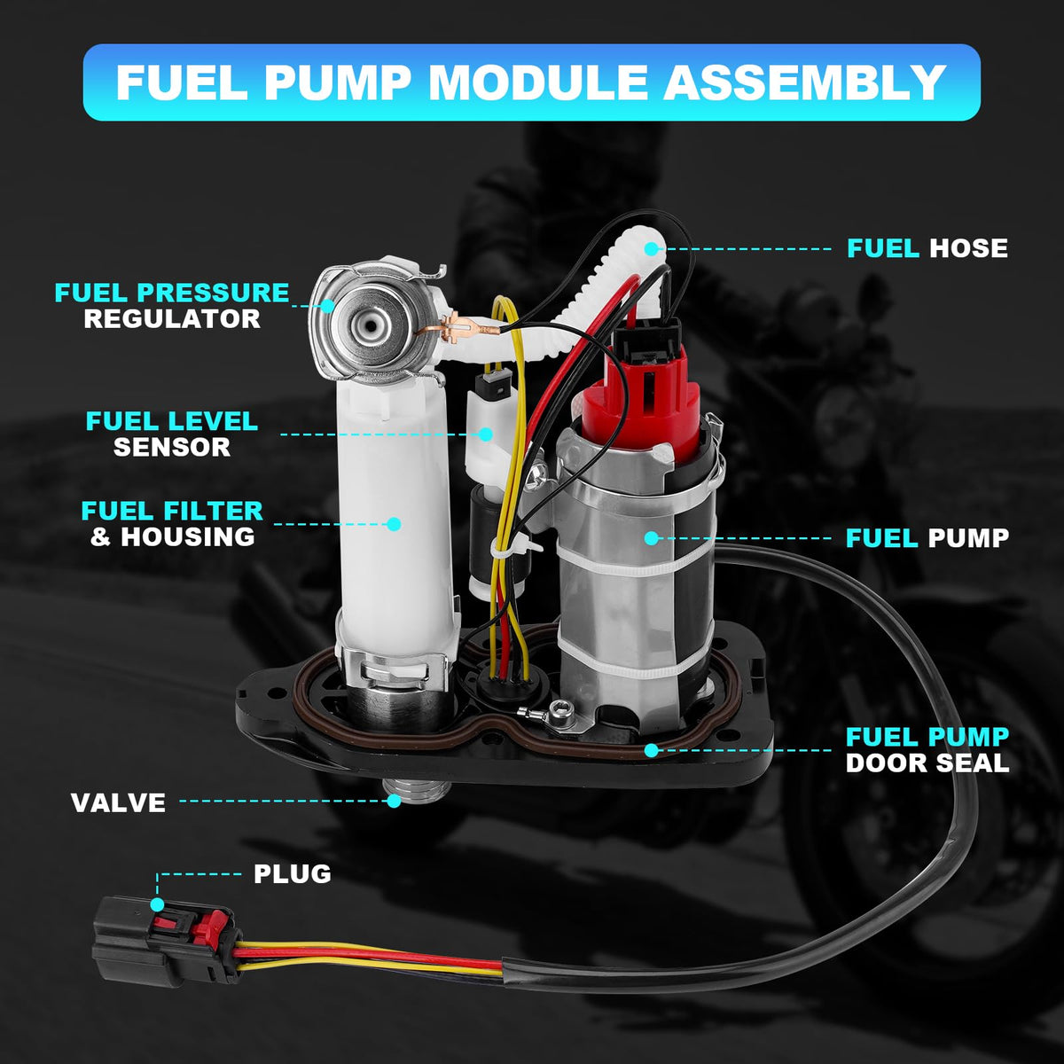 JURPLIX installed in Sportster fuel tank demonstrating proper fit and restored performance