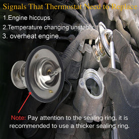 JXGZYD thermostat next to ruler showing compact dimensions for confident part identification
