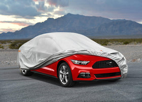 kayme size comparison against Mustang showing correct fit