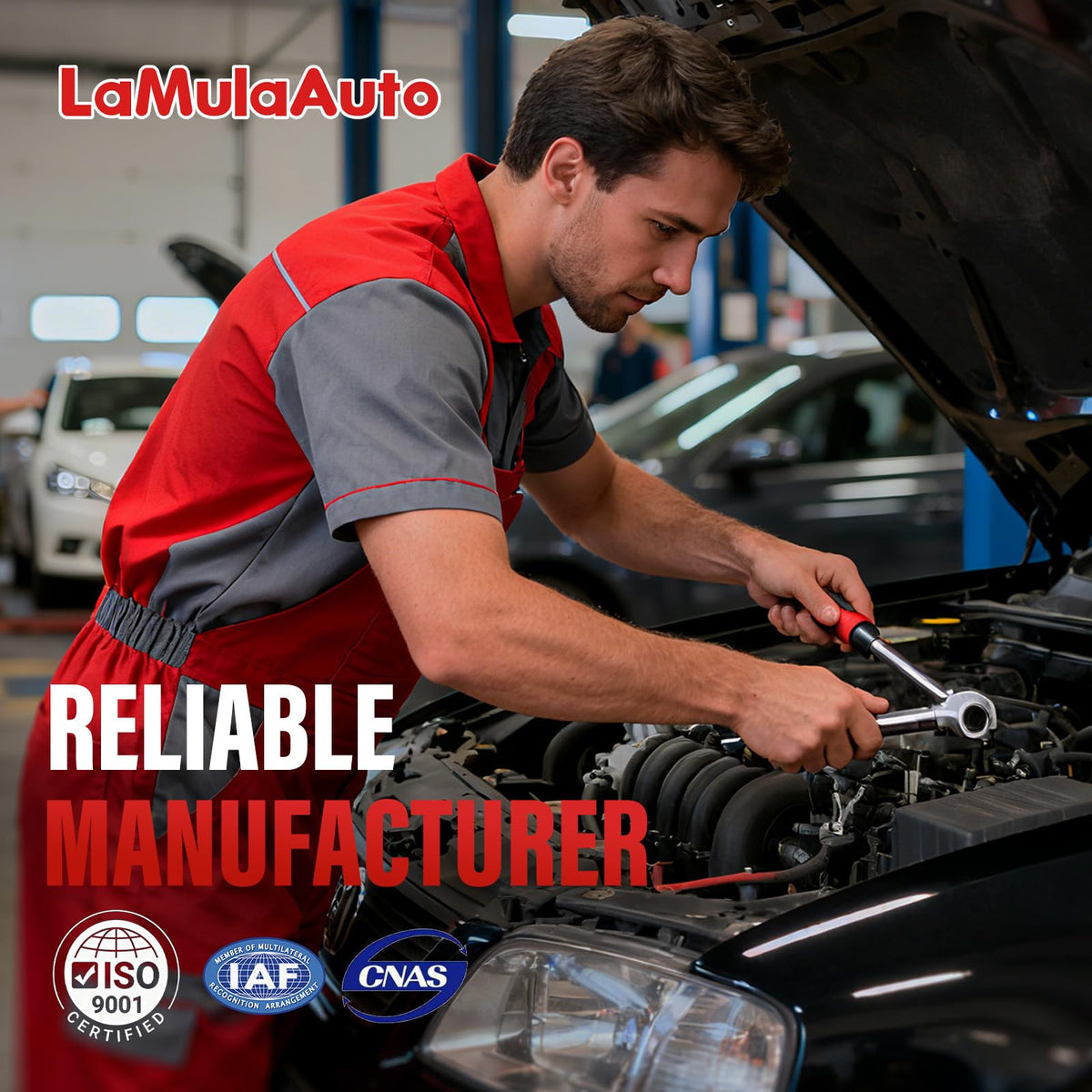 LaMulaAuto distributor beside ruler scale for clear size and fit reference