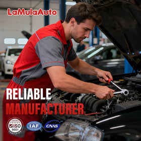 LaMulaAuto distributor beside ruler scale for clear size and fit reference