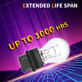 Lanuovx 20-pack opened showing multiple bulbs for bulk replacement convenience