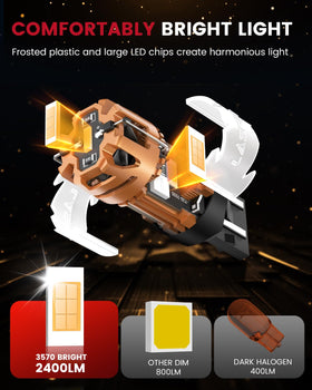 LASFIT pack of two in retail packaging offering easy two-bulb replacement