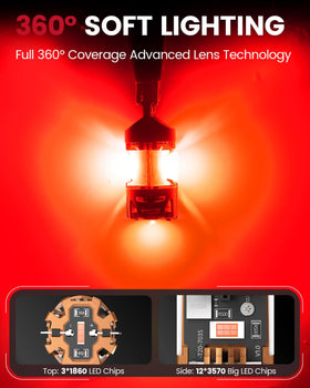 LASFIT next to a halogen bulb for easy size and fit comparison