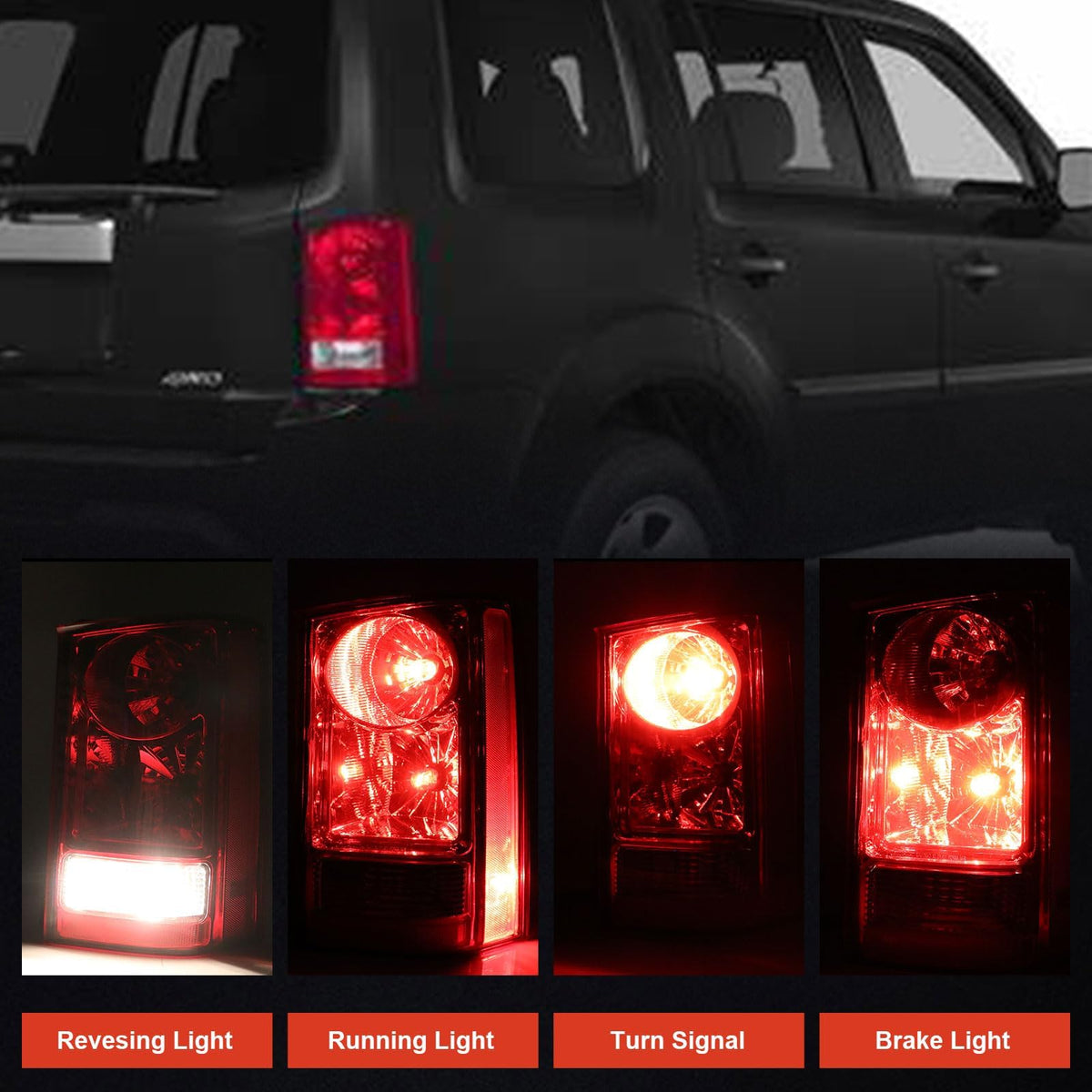 Lathsy tail light gasket and seal detail showing water-resistant protection benefit
