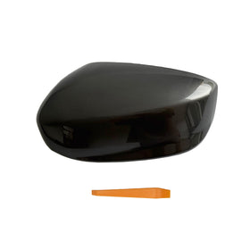 LAUBDGIE right mirror cover front view showing NH737M color and fit benefit