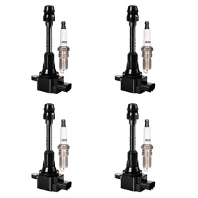 LCWRGS front packaging showing full 4-coil and 4-plug kit, confirming compatibility