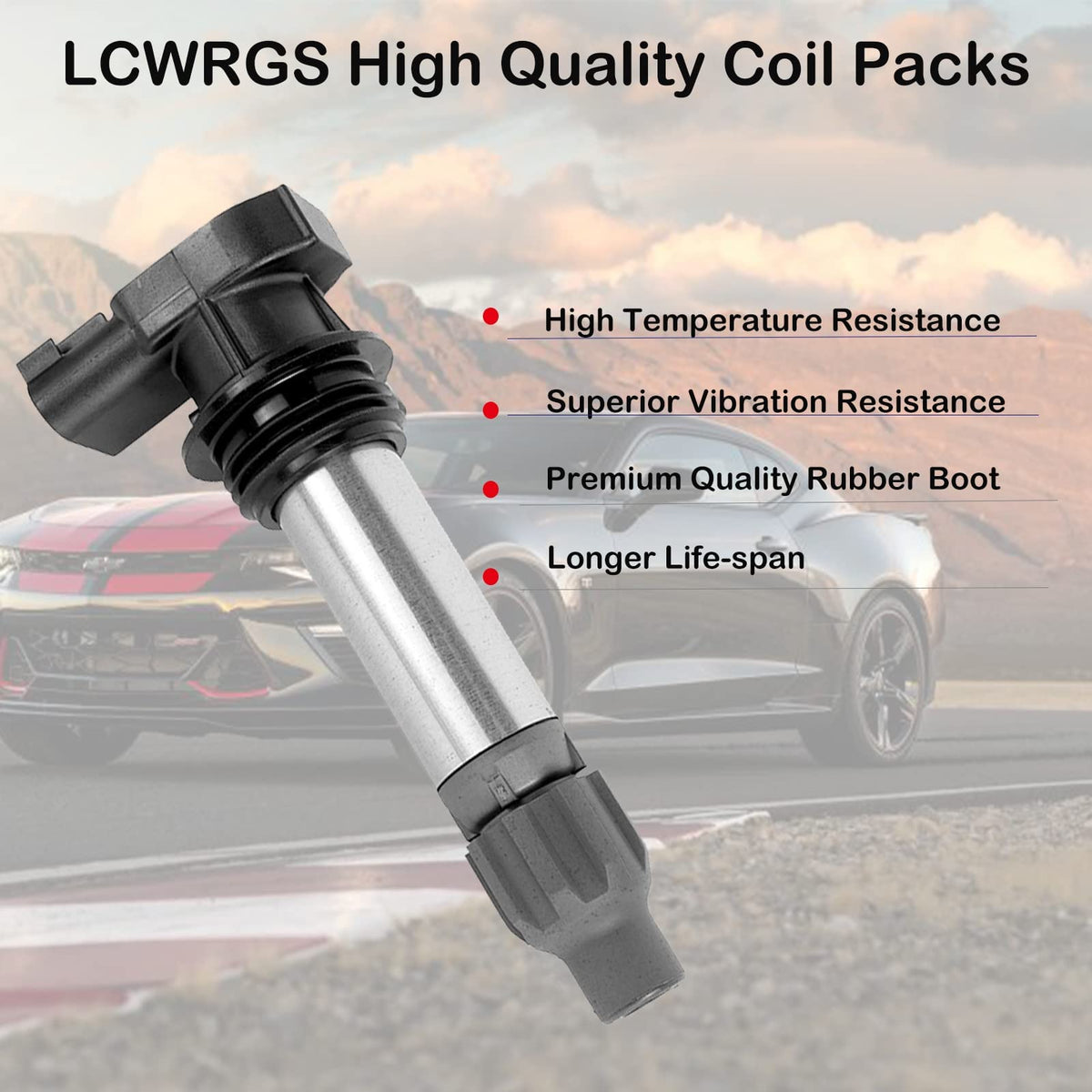 LCWRGS in-garage installation scene illustrating straightforward swap and service
