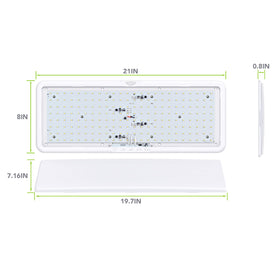 Leisure LED diffuser close-up revealing even light distribution benefit