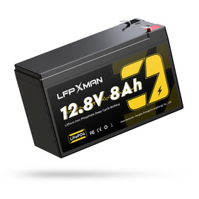 LFPXMAN front packaging view showing compact battery and installation ease