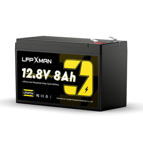 LFPXMAN side label showing voltage, capacity and charging guidance