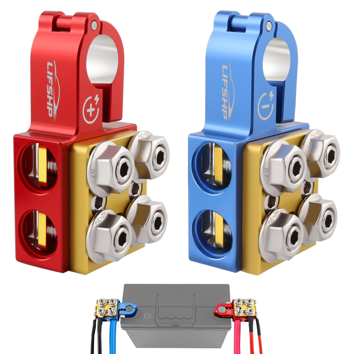 LIFSHP front view of red positive and blue negative terminals showing organized connections and durability