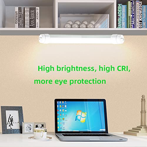 LifSunLit beside an inch ruler to show exact 18-inch scale for accurate sizing
