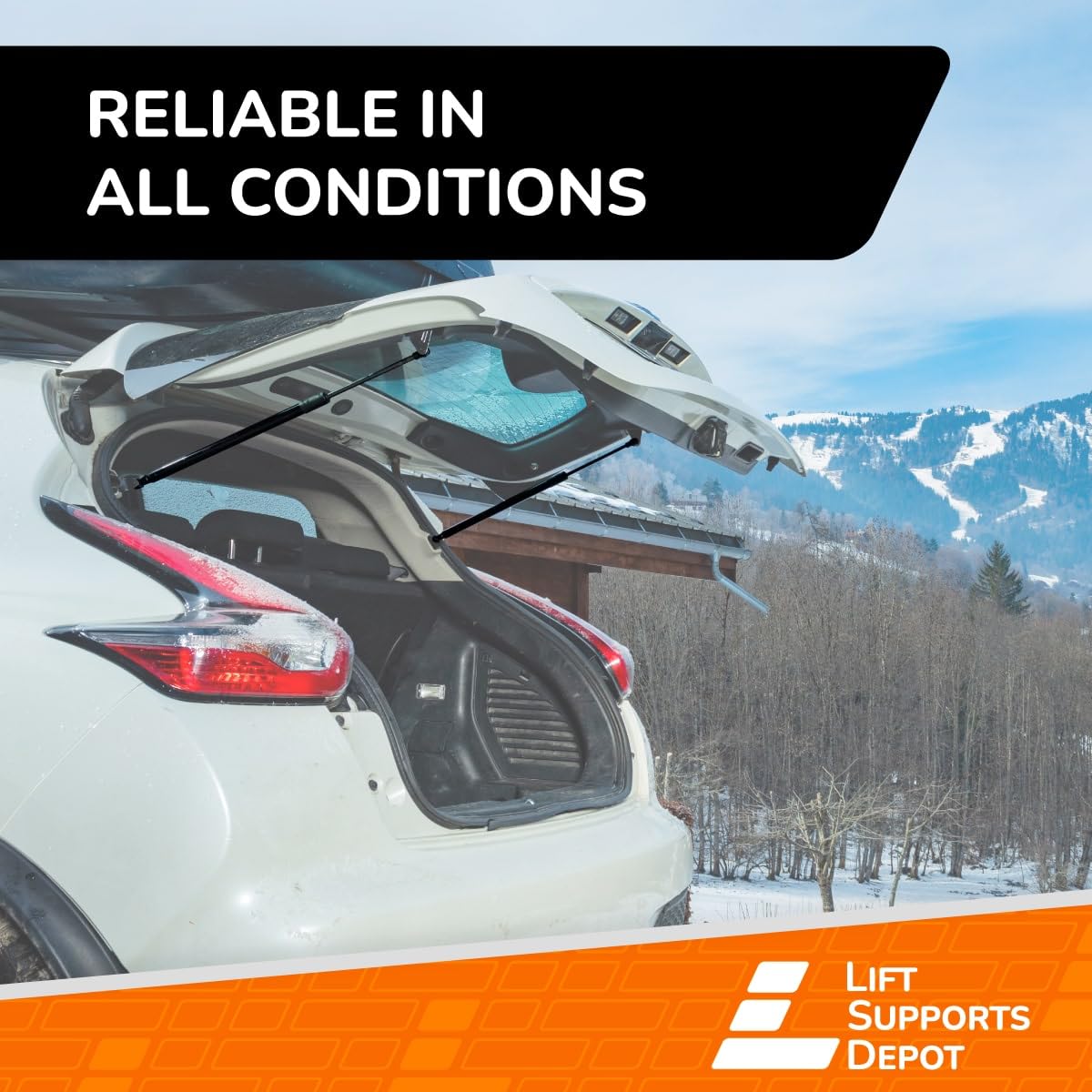 Lift Supports Depot corrosion-resistant finish protecting strut from weather