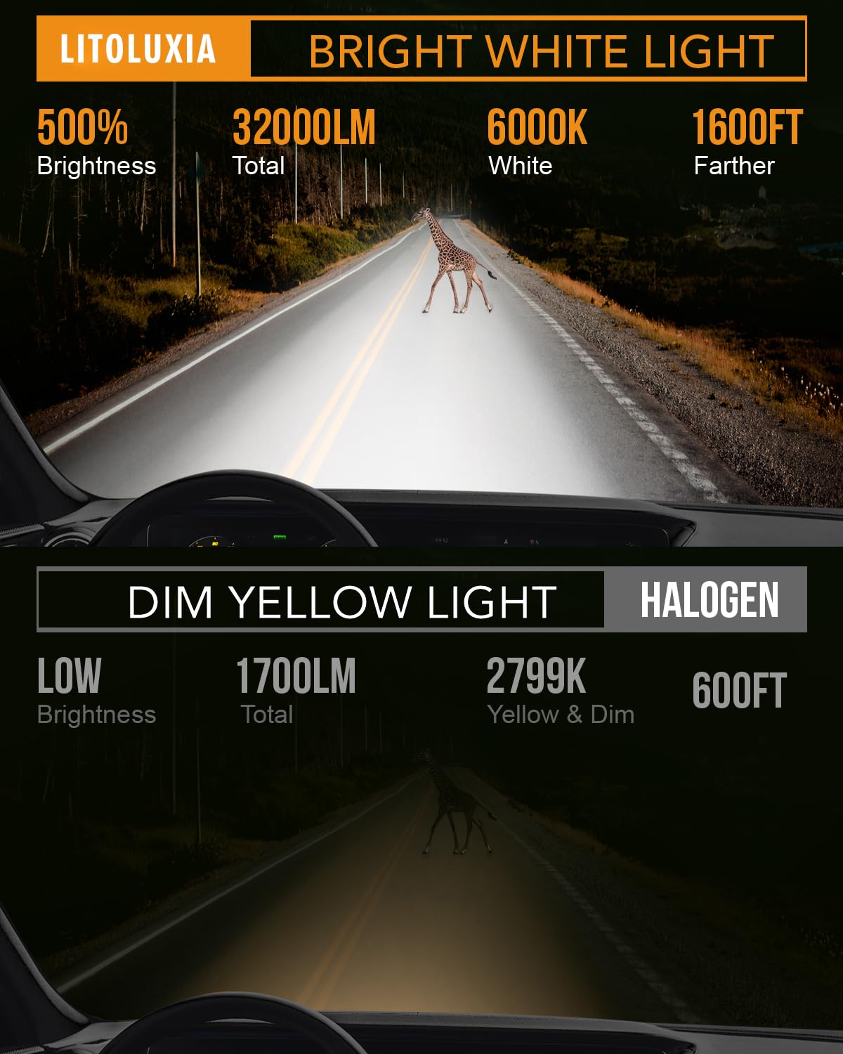 Litoluxia beam pattern on road demonstrating wider, farther visibility