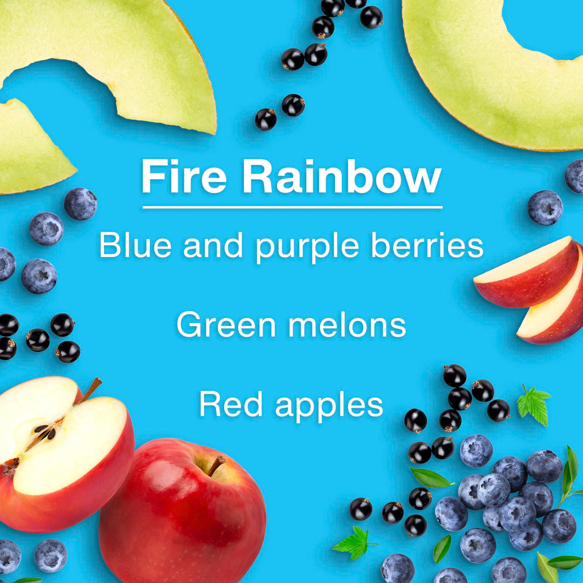 LITTLE TREES 24-pack bundle showing multiple fresheners for rotation and sharing