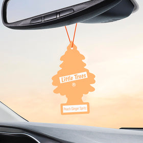 Open 24-count LITTLE TREES pack spread on table ready to replace air fresheners and save money