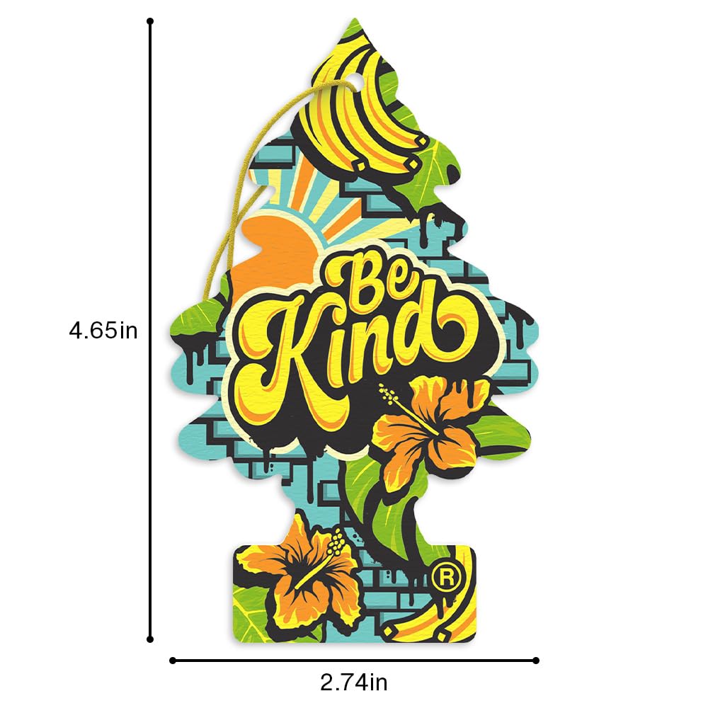 LITTLE TREES Be Kind held in hand showing size and portability benefit