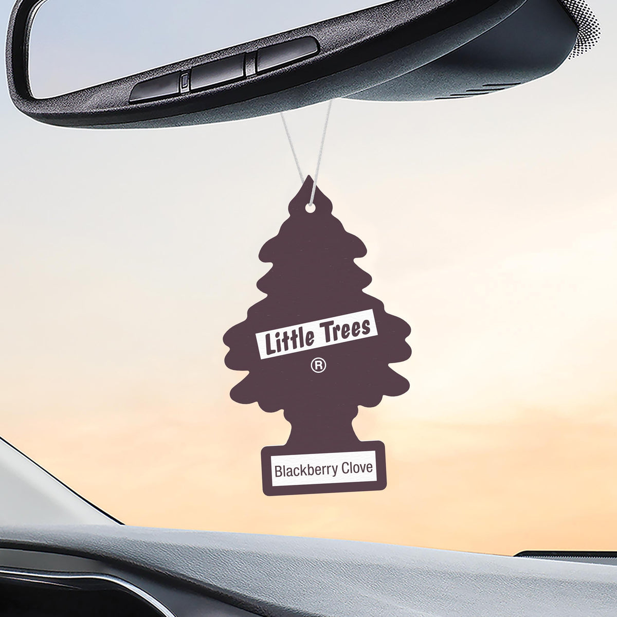 LITTLE TREES texture and printed ink detail highlighting durable fragrance material