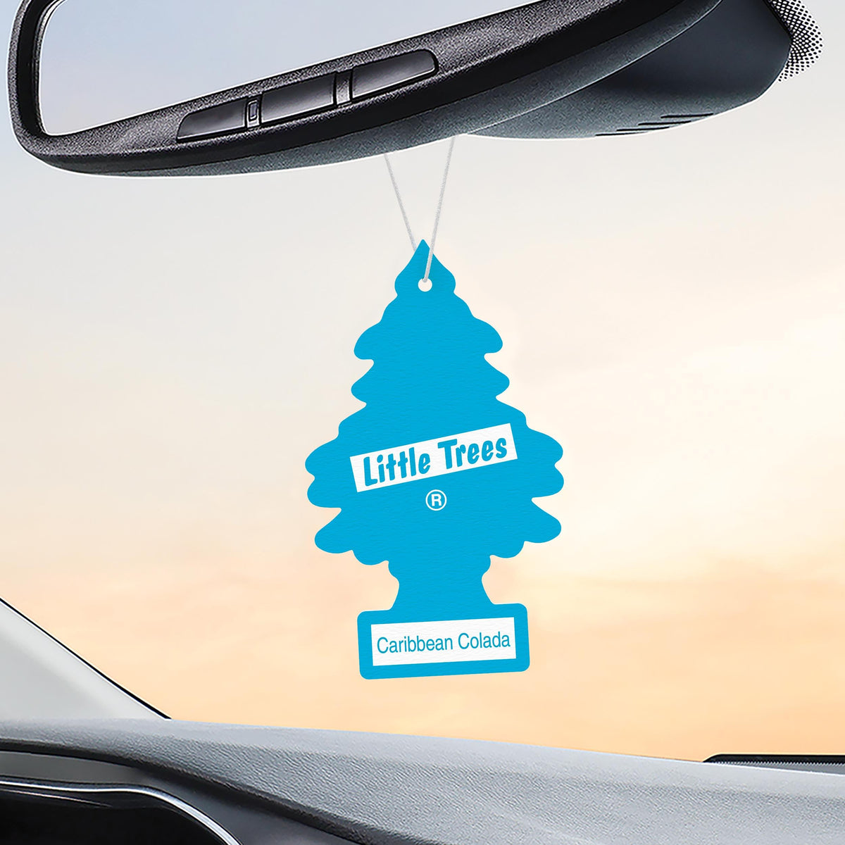 LITTLE TREES placed in a bathroom showing versatile use and odor control benefit