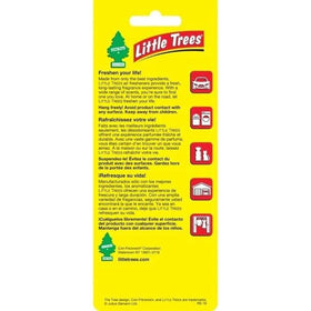 LITTLE TREES hanging from rearview mirror showing car freshness benefit